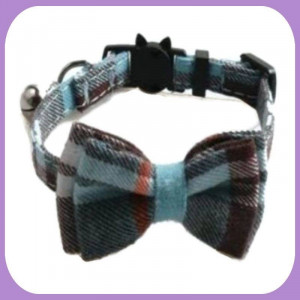 Collar-228
